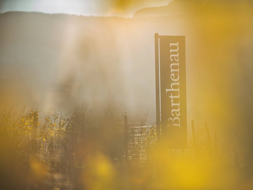 Tenuta Barthenau | Tenuta J. Hofstätter | Alto Adige Tenuta Barthenau | Tenuta J. Hofstätter | Alto Adige