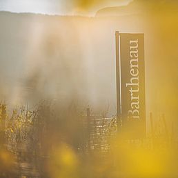 Tenuta Barthenau | Tenuta J. Hofstätter | Alto Adige Tenuta Barthenau | Tenuta J. Hofstätter | Alto Adige