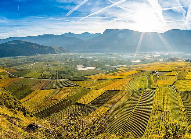 Winzer, Südtirol: Weingut J. Hofstätter, Familienbetrieb