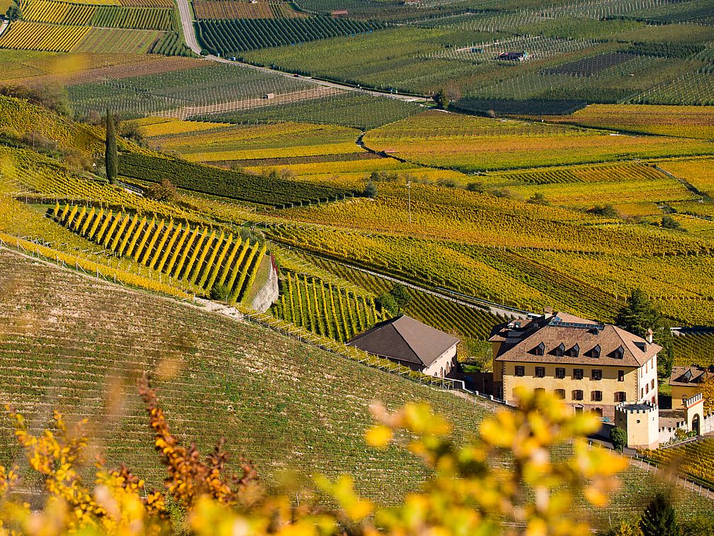 Weingut Rechtenthaler Schlossleiten | Südtirol | Tramin  Weingut Rechtenthaler Schlossleiten | Südtirol | Tramin