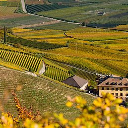 Weingut Rechtenthaler Schlossleiten | Südtirol | Tramin  Weingut Rechtenthaler Schlossleiten | Südtirol | Tramin