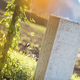 Weingut Barthenau | Weingut J. Hofstätter | Südtirol