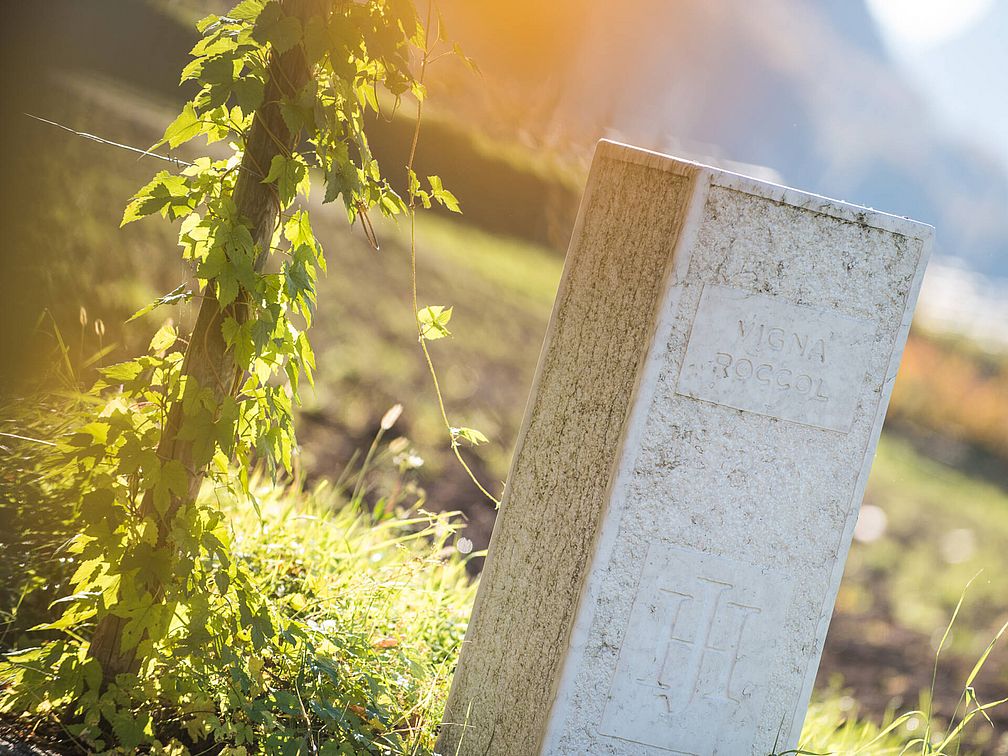 Weingut Barthenau | Weingut J. Hofstätter | Südtirol
