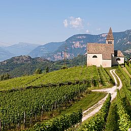 Weingut Barthenau | Weingut J. Hofstätter | Südtirol Weingut Barthenau | Weingut J. Hofstätter | Südtirol