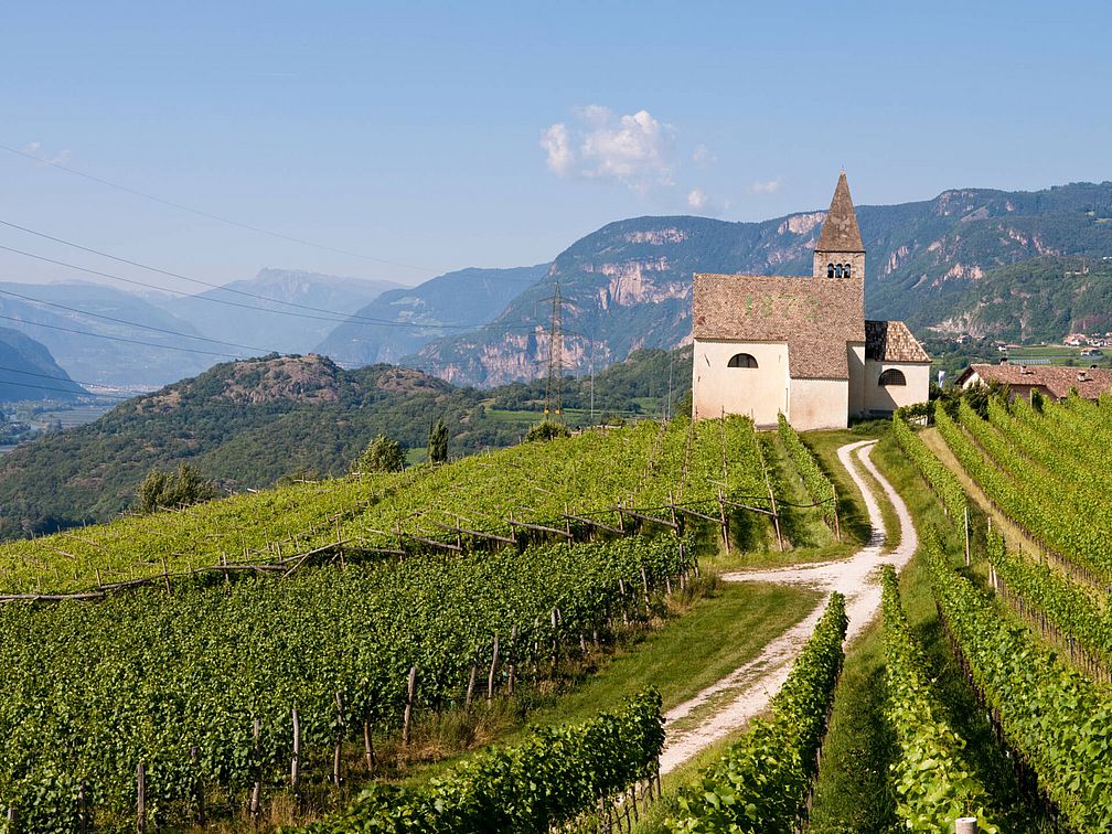 Weingut Barthenau | Weingut J. Hofstätter | Südtirol Weingut Barthenau | Weingut J. Hofstätter | Südtirol