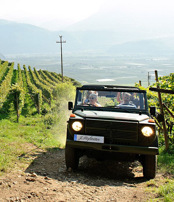 Weingut J. Hofstätter | Südtirol | Tramin Weingut J. Hofstätter | Südtirol | Tramin
