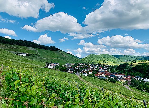 Mosel | Bockstein | Dr. Fischer | Weingut J. Hofstätter | Riesling Mosel | Bockstein | Dr. Fischer | Weingut J. Hofstätter | Riesling