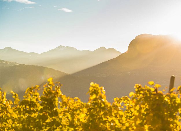 Winzer, Südtirol: Weingut J. Hofstätter, Familienbetrieb