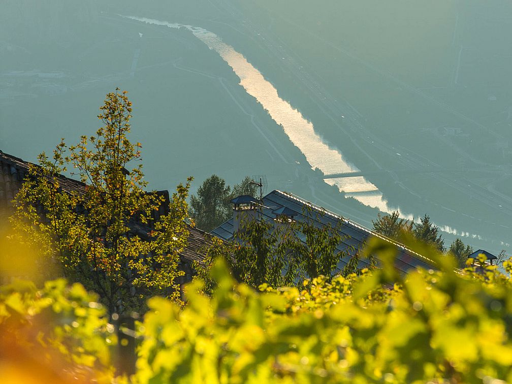 Weingut Oberkerschbaum | Weingut J. Hofstätter Weingut Oberkerschbaum | Weingut J. Hofstätter