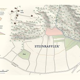 Weingut Steinraffler | Weingut J. Hofstätter Weingut Steinraffler | Weingut J. Hofstätter