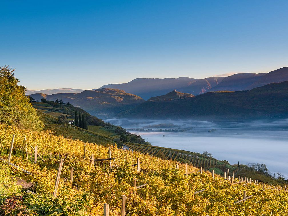 Weingut Kolbenhof | Weingut J. Hofstätter | Südtirol Weingut Kolbenhof | Weingut J. Hofstätter | Südtirol