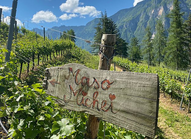 Maso Michei | Weingut J. Hofstätter | Südtirol | Tramin  Maso Michei | Weingut J. Hofstätter | Südtirol | Tramin