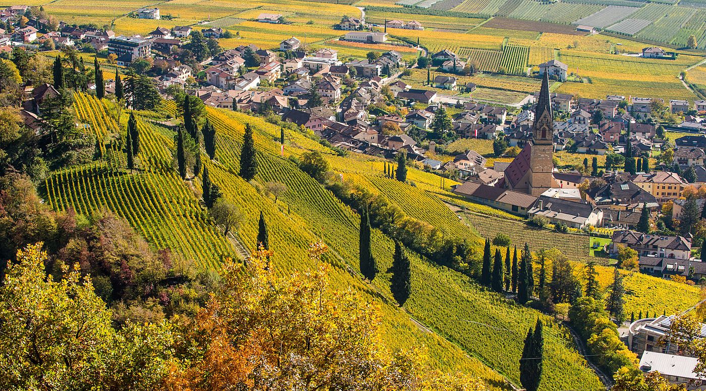 Weingüter Tramin: Qualitätsweinbau von J. Hofstätter Weingüter Tramin: Qualitätsweinbau von J. Hofstätter