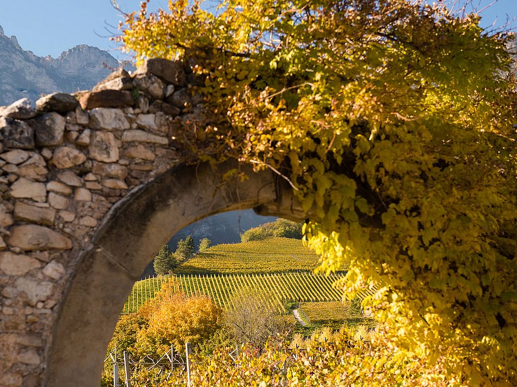 Weingut Rechtenthaler Schlossleiten | Südtirol | Tramin  Weingut Rechtenthaler Schlossleiten | Südtirol | Tramin
