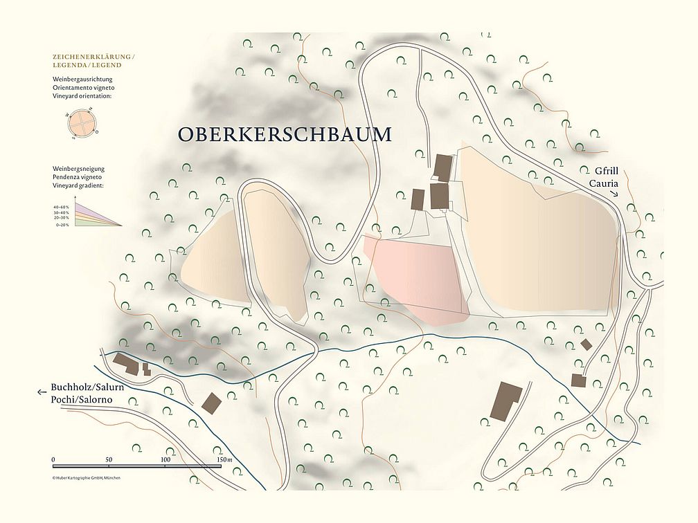 Weingut Oberkerschbaum | Weingut J. Hofstätter Weingut Oberkerschbaum | Weingut J. Hofstätter