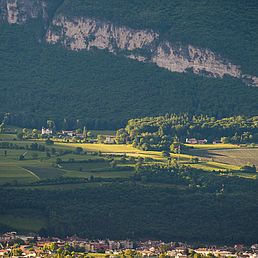 Weingut Barthenau | Weingut J. Hofstätter | Südtirol