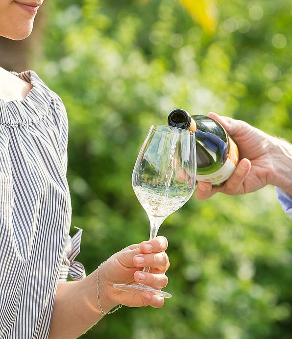 Tenuta J. Hofstätter | Vini | Alto Adige | Termeno Tenuta J. Hofstätter | Vini | Alto Adige | Termeno
