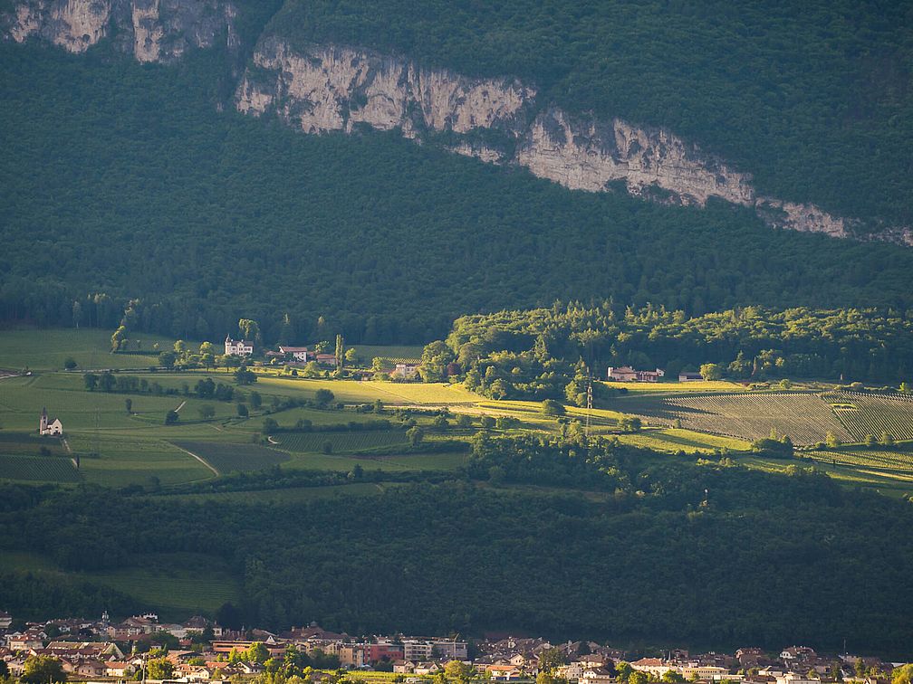 Weingut Barthenau | Weingut J. Hofstätter | Südtirol Weingut Barthenau | Weingut J. Hofstätter | Südtirol