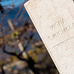 Tenuta Barthenau | Tenuta J. Hofstätter | Alto Adige Tenuta Barthenau | Tenuta J. Hofstätter | Alto Adige