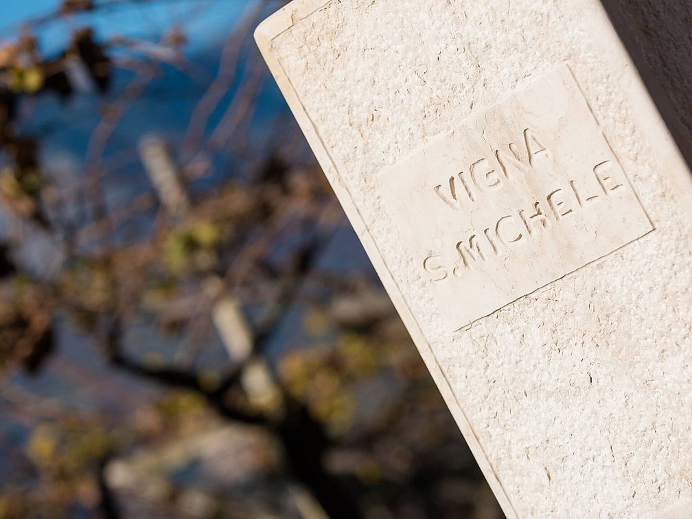 Weingut Barthenau | Weingut J. Hofstätter | Südtirol