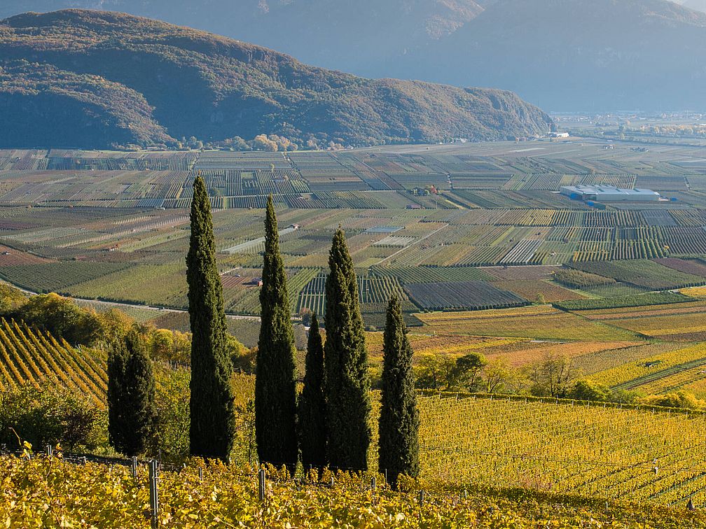Weingut Kolbenhof | Weingut J. Hofstätter | Südtirol Weingut Kolbenhof | Weingut J. Hofstätter | Südtirol