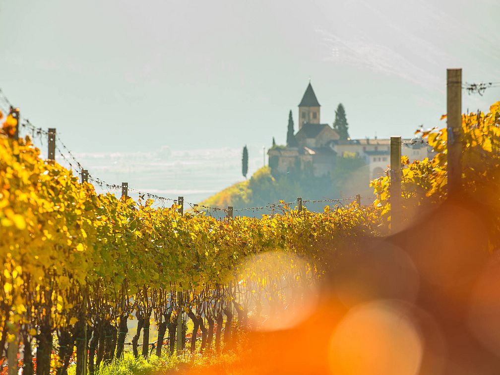 Weingut Kolbenhof | Weingut J. Hofstätter | Südtirol