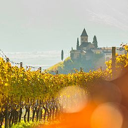 Weingut Kolbenhof | Weingut J. Hofstätter | Südtirol